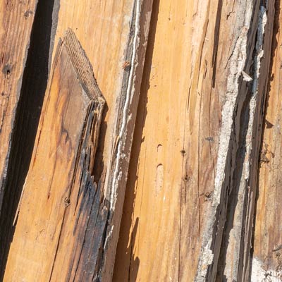 Termite infestations in Los Angeles County
